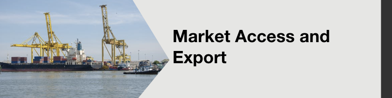 Export